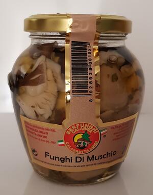 FUNGHI DEL MUSCHIO ML 314-580